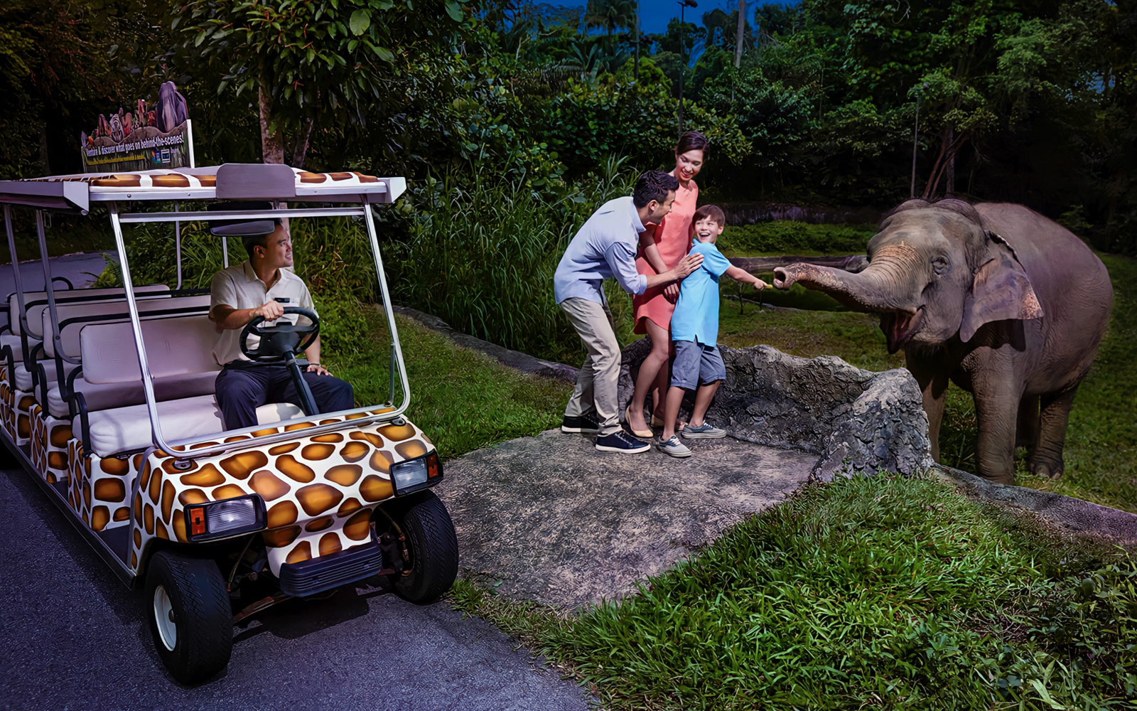 night safari tour cost